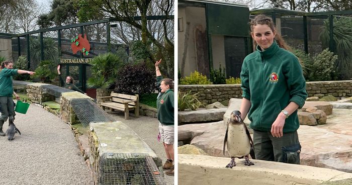 Zookeepers Self-Isolate In A UK Wildlife Park For 3 Months To Take Care Of Animals