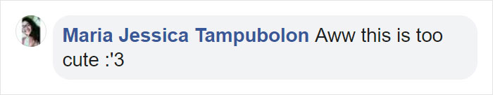 Penguins Meet Beluga Whales In A Closed Aquarium And It's Adorable How Curious They Are Penguins Meet Beluga Whales In A Closed Aquarium And It's Adorable How Curious They Are