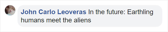 Penguins Meet Beluga Whales In A Closed Aquarium And It's Adorable How Curious They Are Penguins Meet Beluga Whales In A Closed Aquarium And It's Adorable How Curious They Are