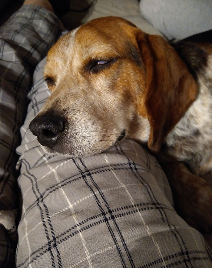 COVID Adoption. We Added A New Member To Our Family Today. This Is The Face He Makes When He's Already Tired Of of me