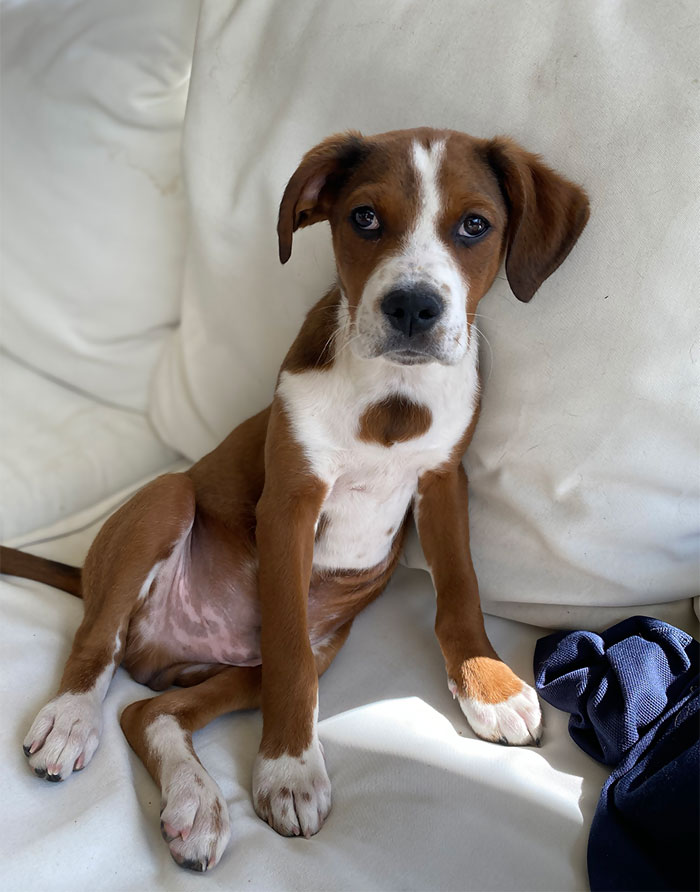 Adopted This Baby Today