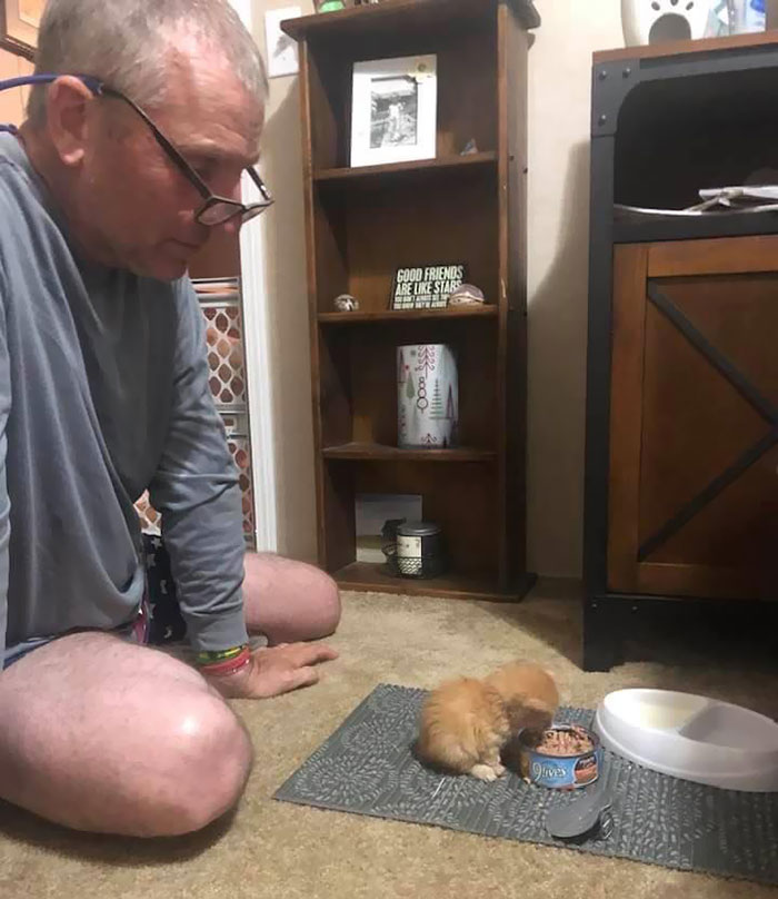 My Dad Just Got A Kitten