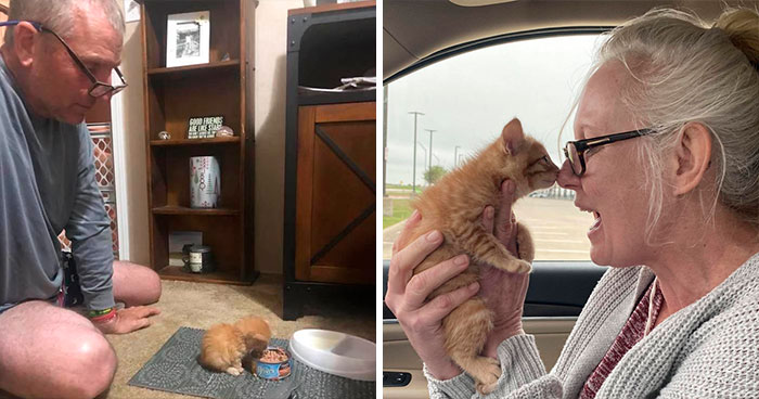 50 Most Wholesome Rescue Pet Photos Of This Month (April Edition)