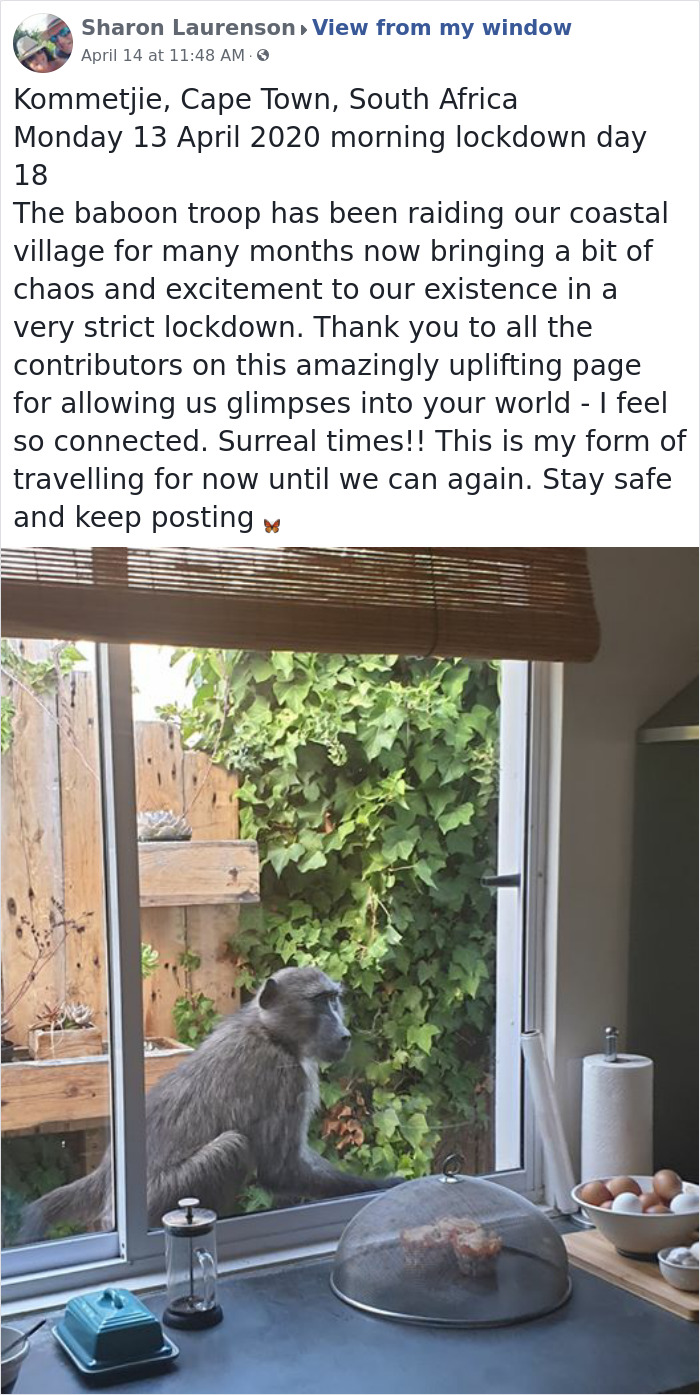 Outside-My-Window-Pics