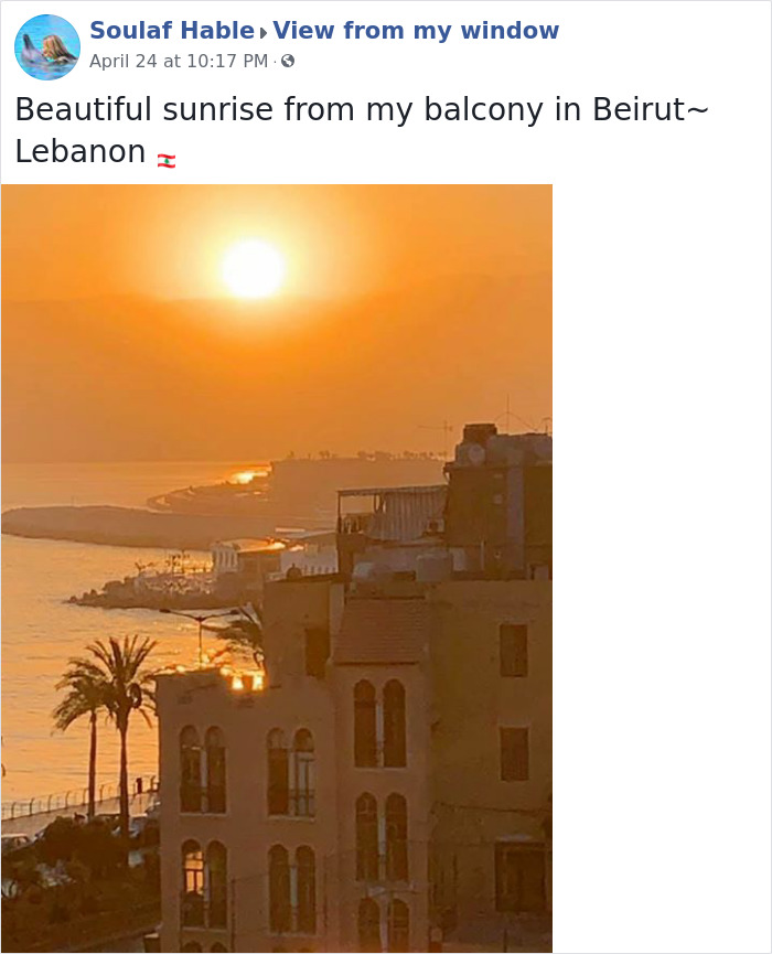 Outside-My-Window-Pics