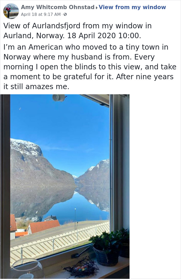 Outside-My-Window-Pics