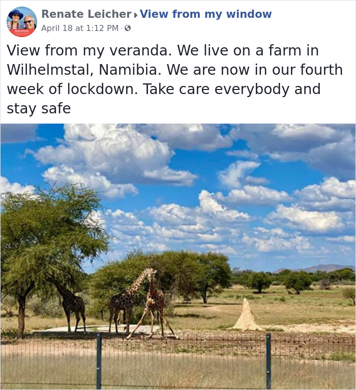 Outside-My-Window-Pics