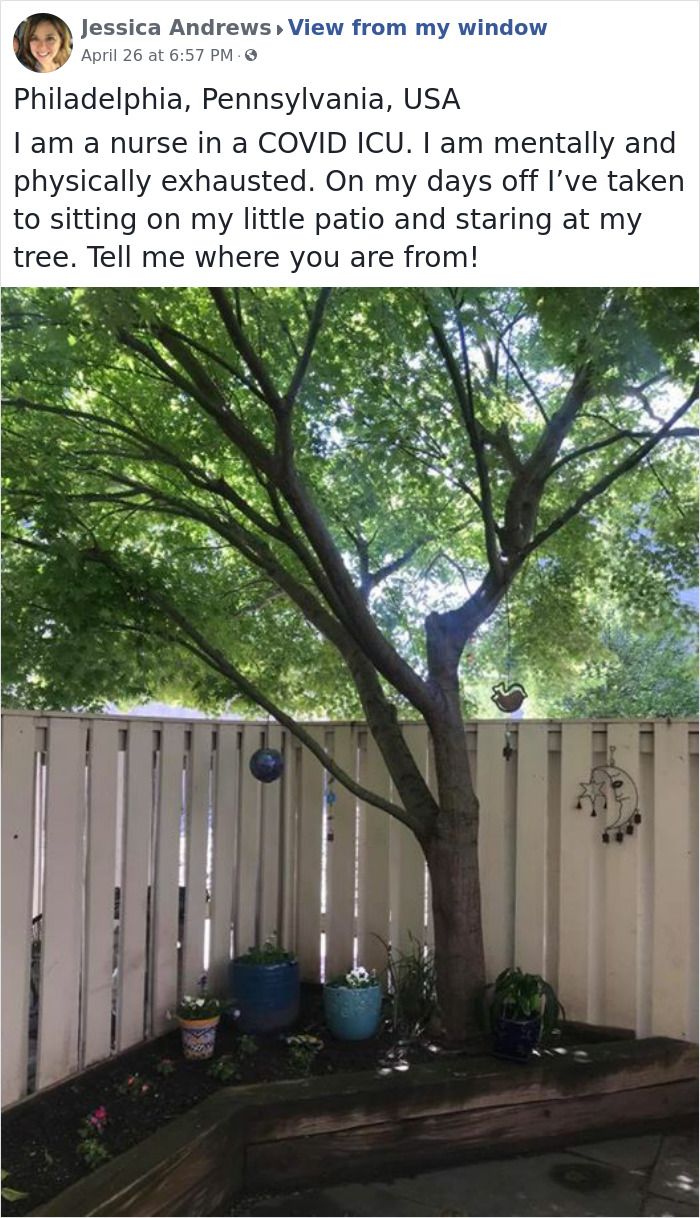 Outside-My-Window-Pics