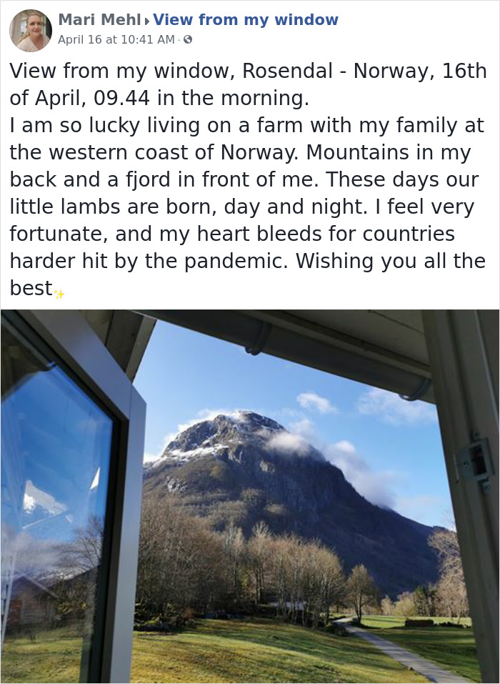 Outside-My-Window-Pics