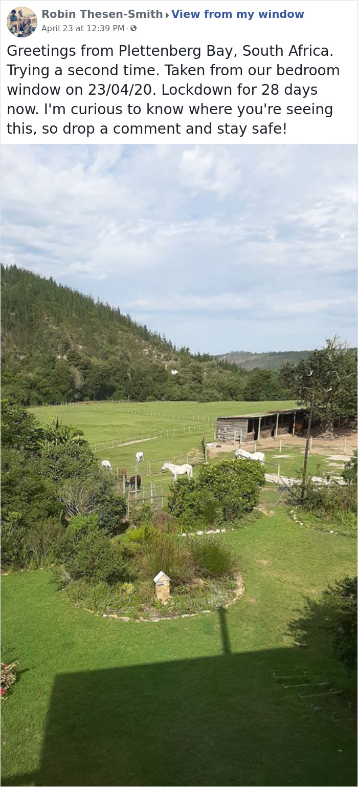 Outside-My-Window-Pics