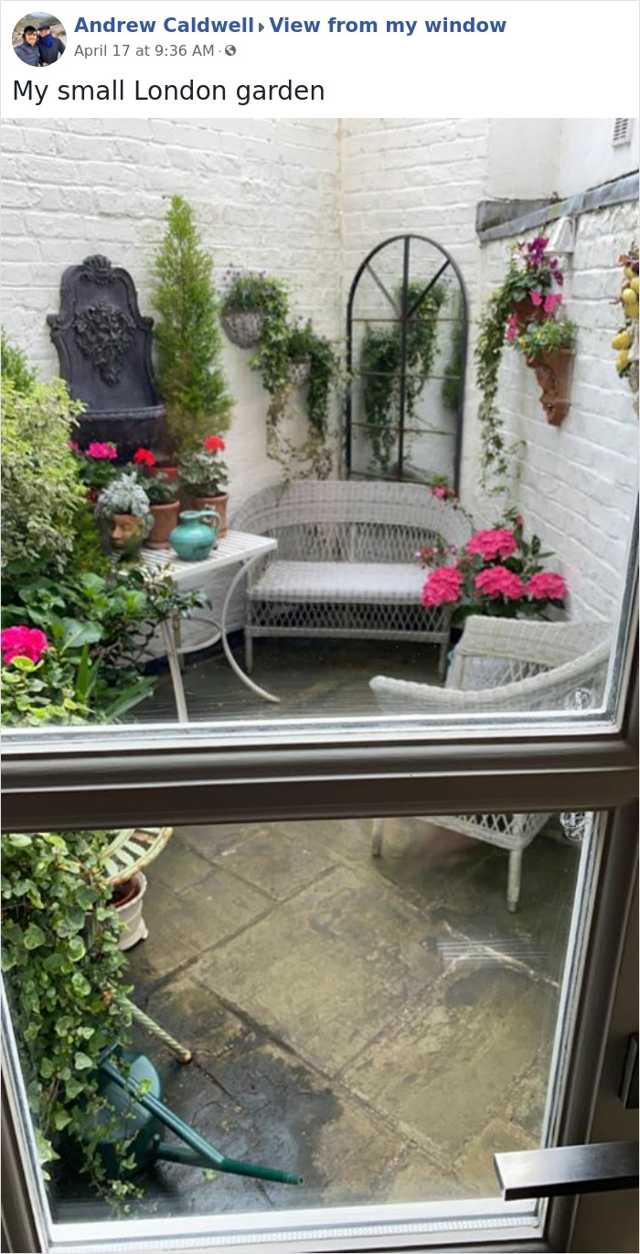 Outside-My-Window-Pics