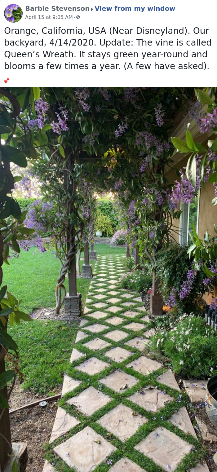 Outside-My-Window-Pics