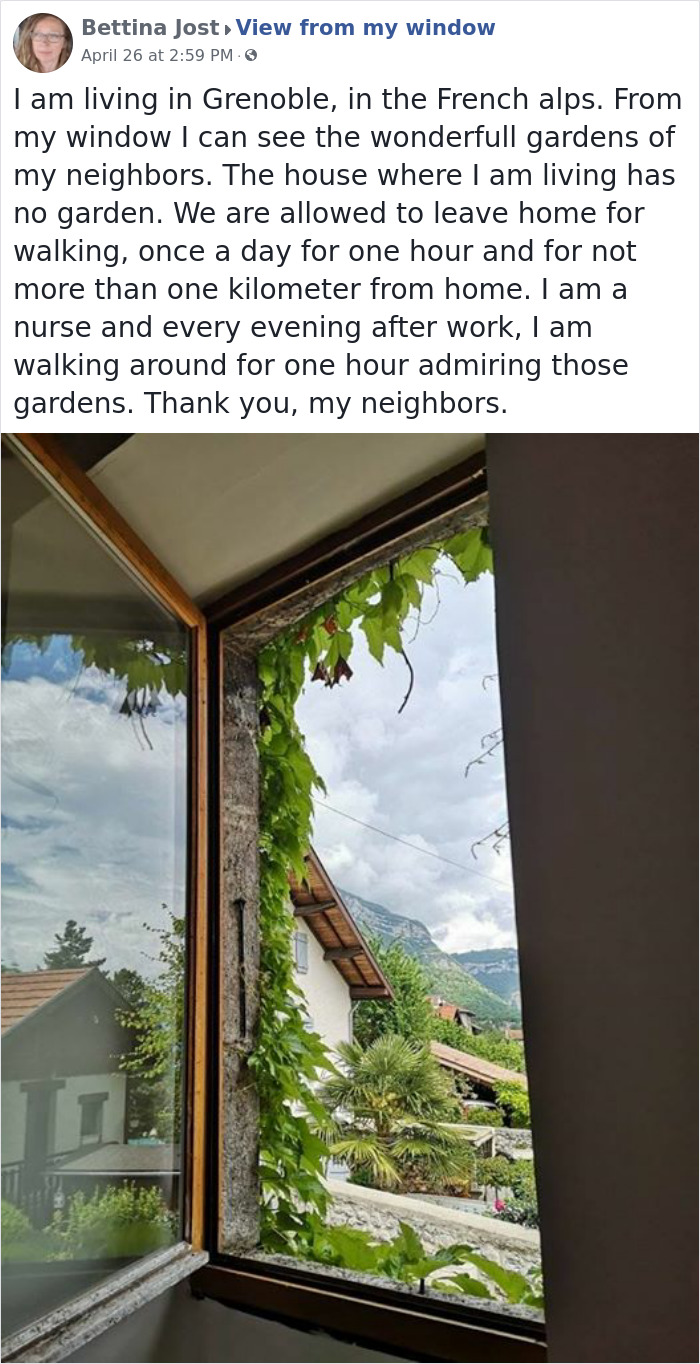 Outside-My-Window-Pics