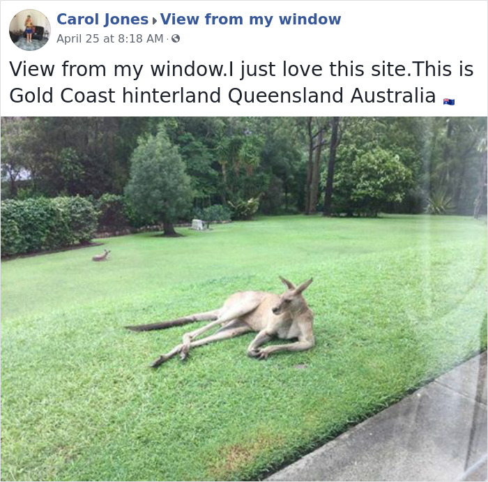 Outside-My-Window-Pics