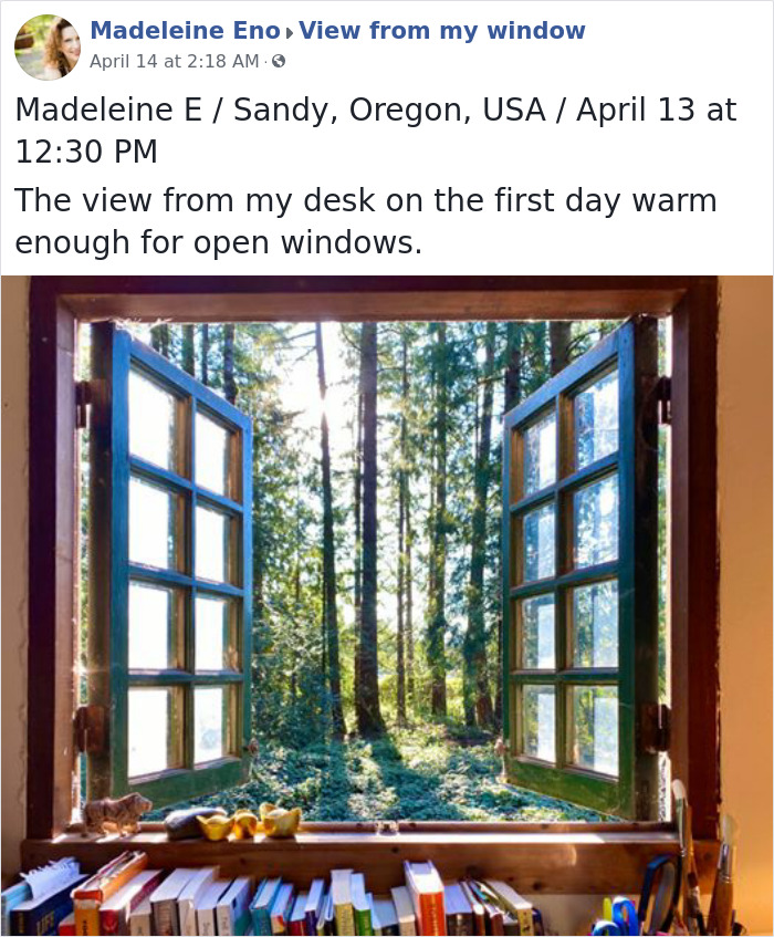 Outside-My-Window-Pics