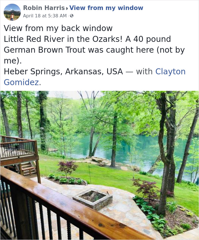 Outside-My-Window-Pics