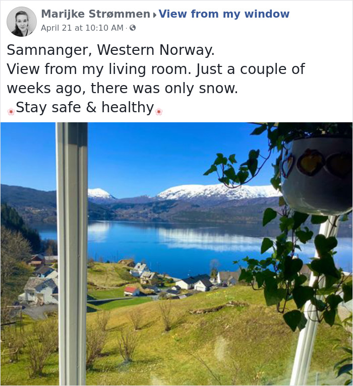 Outside-My-Window-Pics