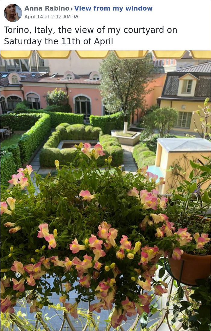 Outside-My-Window-Pics