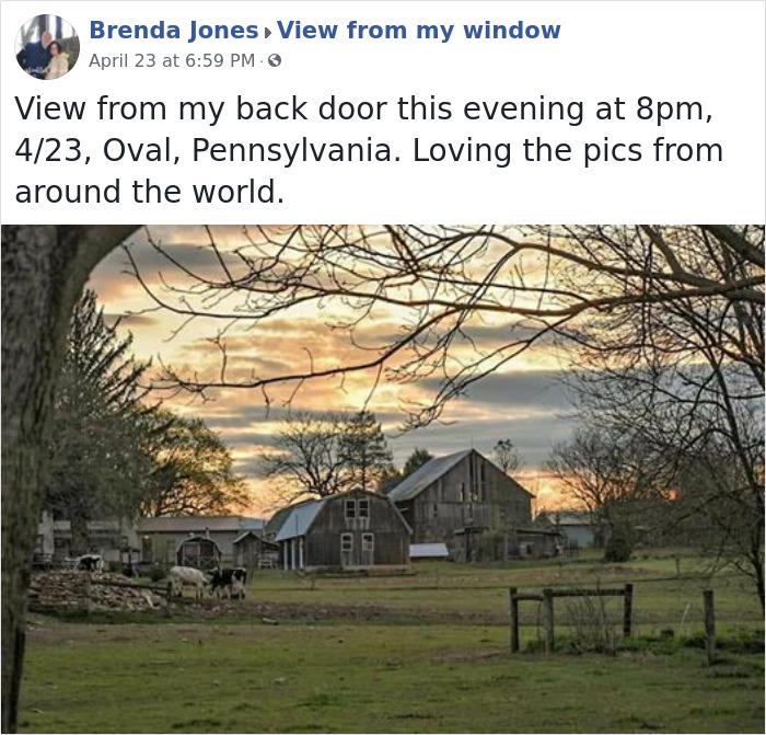 Outside-My-Window-Pics