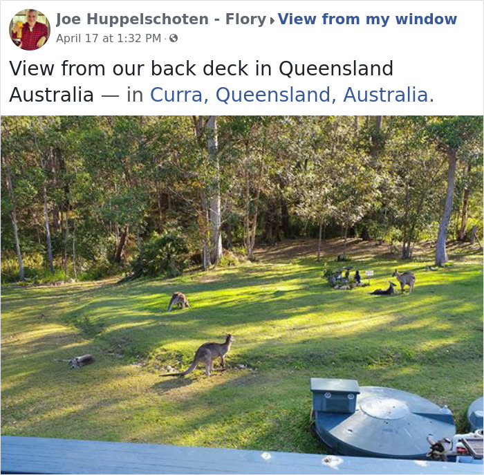 Outside-My-Window-Pics