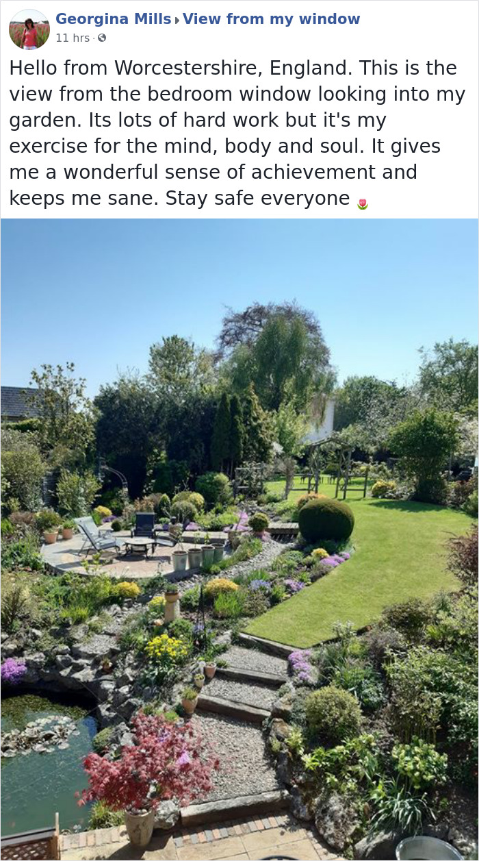 Outside-My-Window-Pics