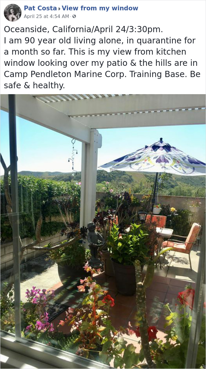 Outside-My-Window-Pics