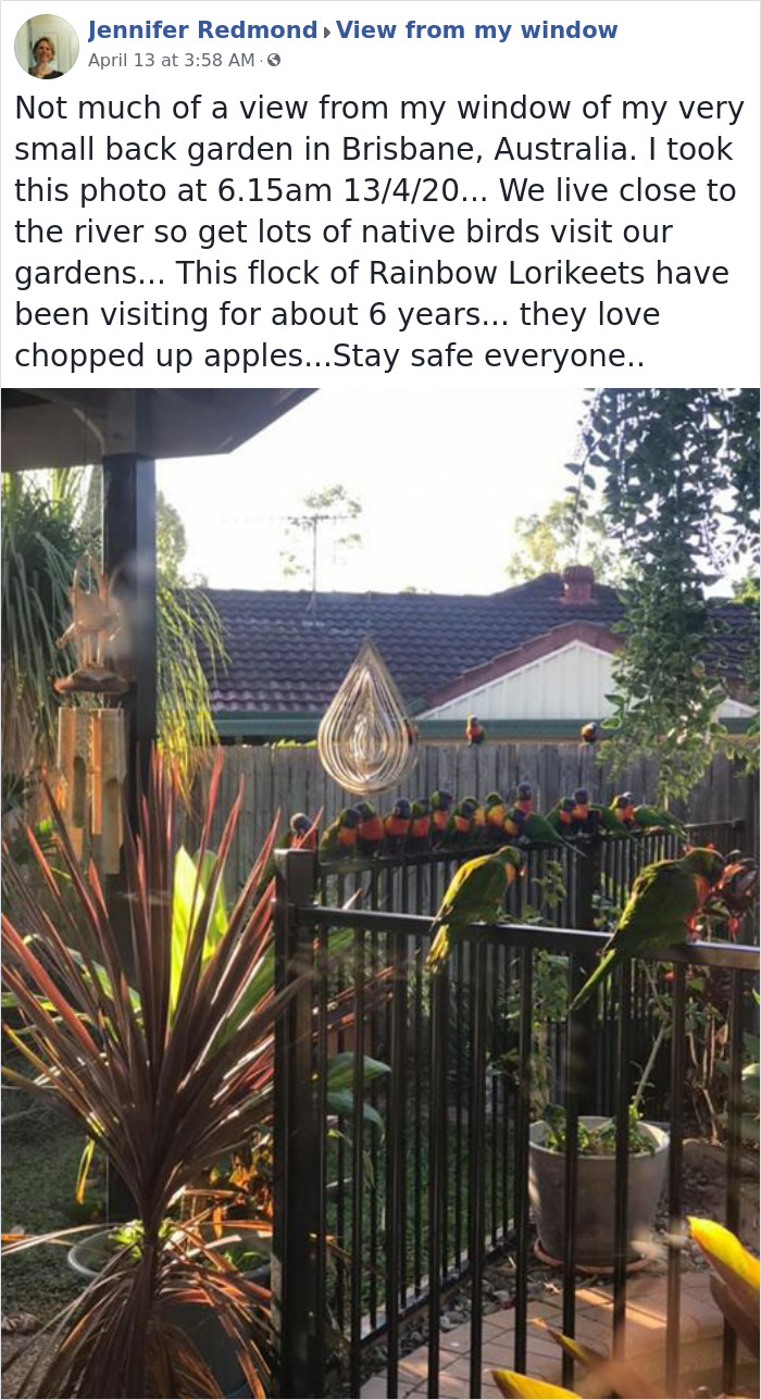 Outside-My-Window-Pics