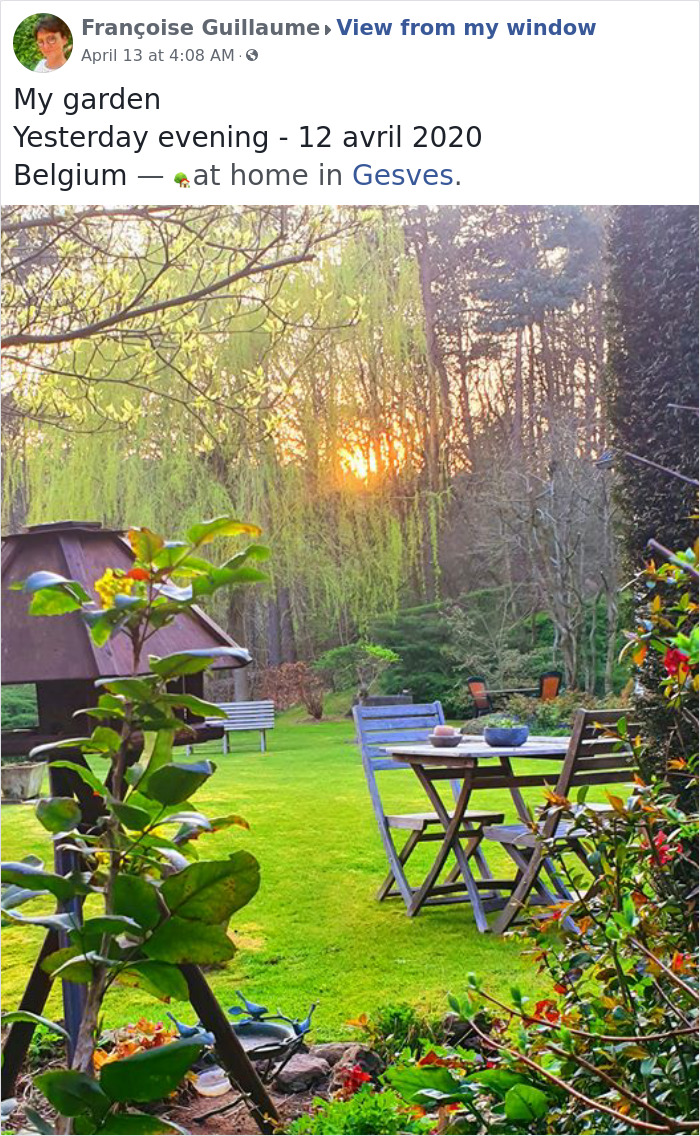 Outside-My-Window-Pics