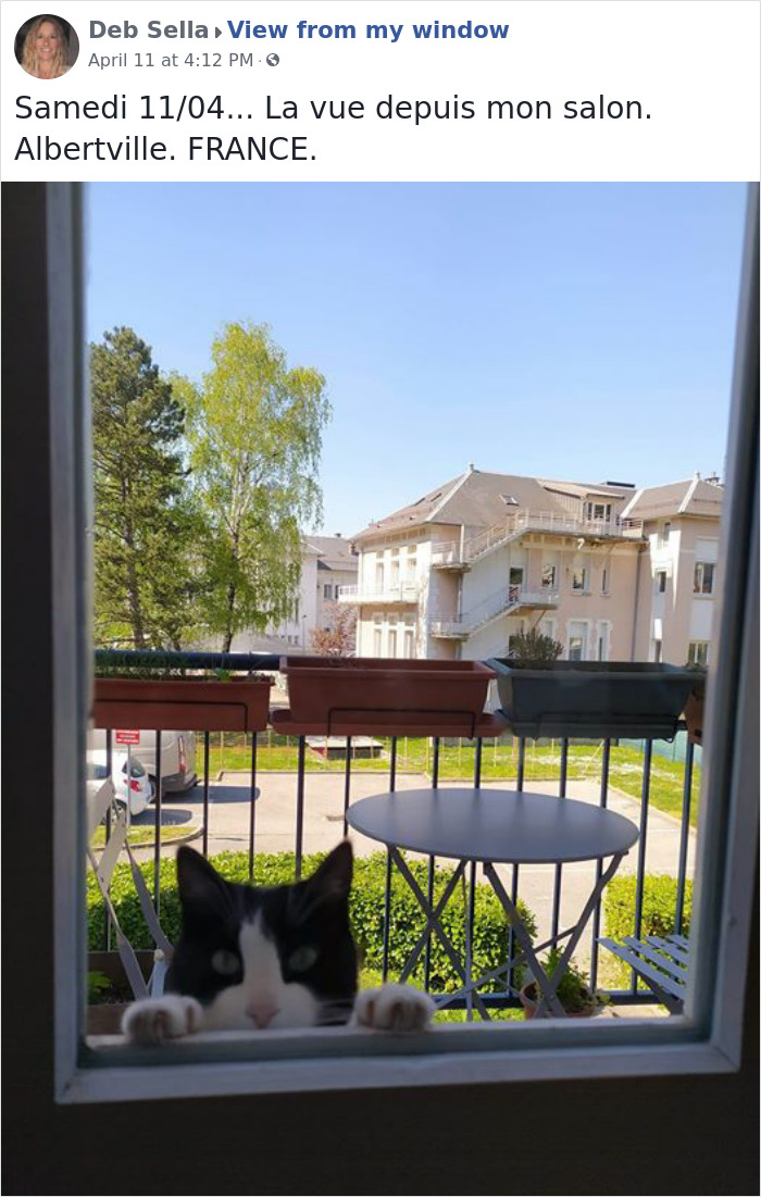 Outside-My-Window-Pics