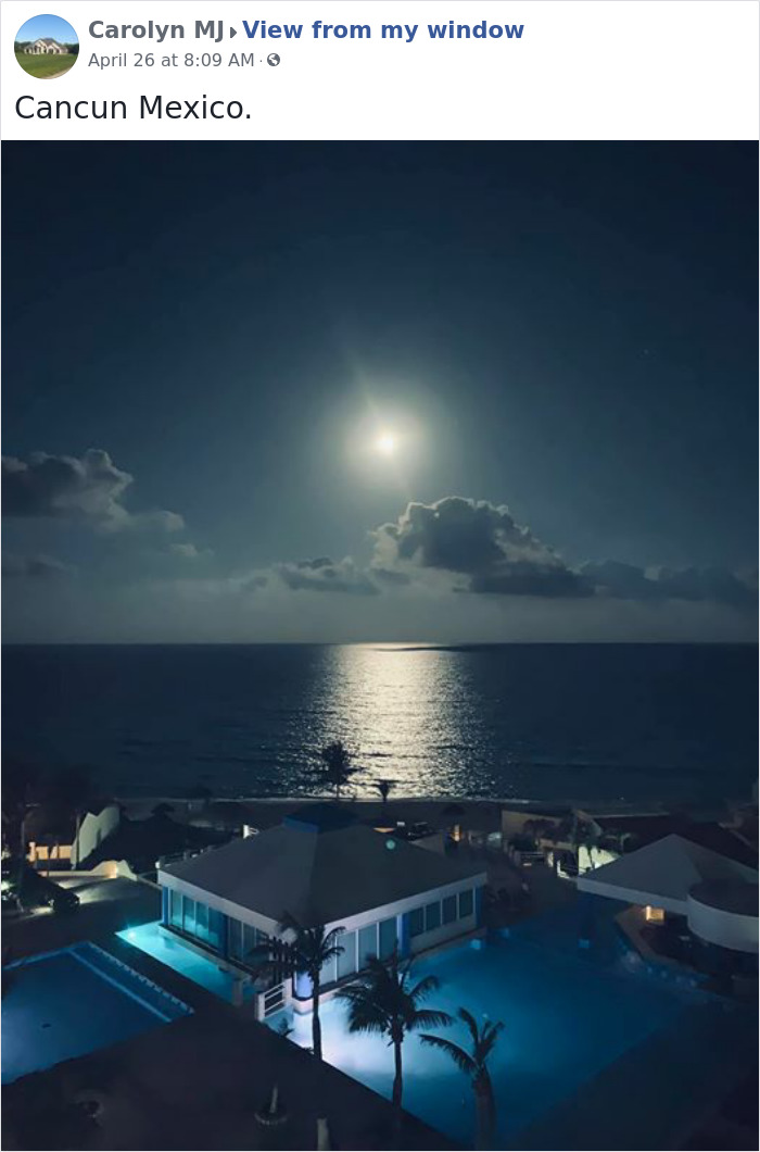 Outside-My-Window-Pics