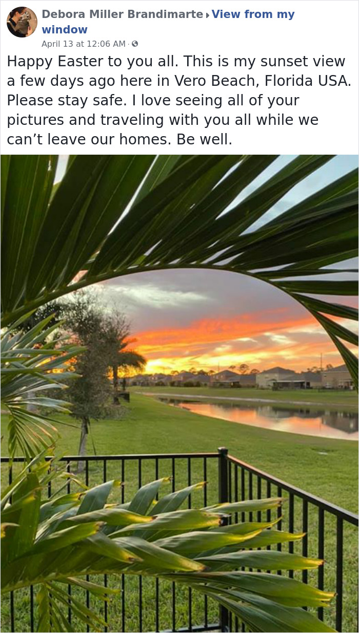 Outside-My-Window-Pics