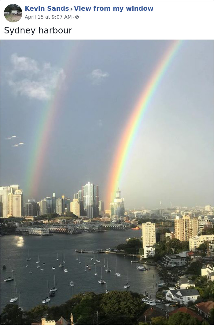 Outside-My-Window-Pics