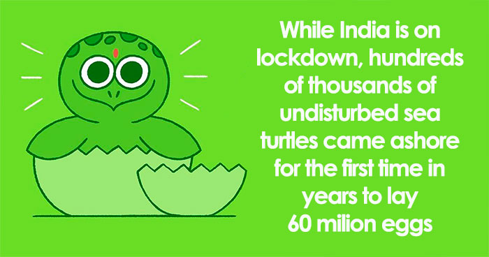 I’m Honestly Fed Up With All The Bad News, So I Illustrated 15 Of The Best Ones About The Coronavirus Situation