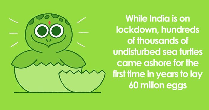 I’m Honestly Fed Up With All The Bad News, So I Illustrated 15 Of The Best Ones About The Coronavirus Situation