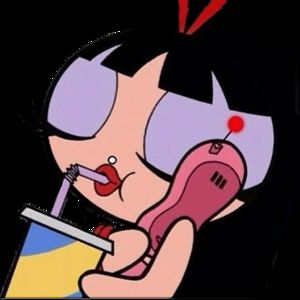 mollyrachelporter avatar