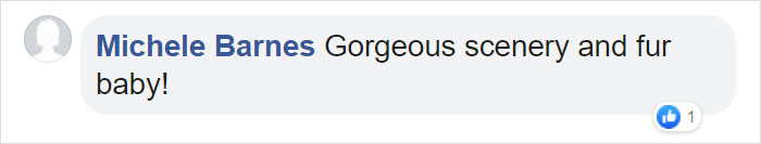 Woman Buys Her Cat A Professional Photoshoot, Has Zero Regrets (17 Pics)