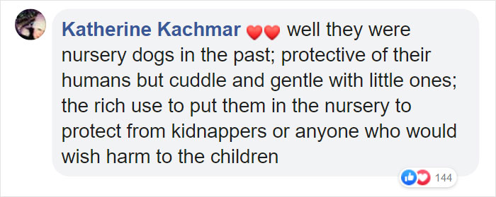 Dog Finds The Fluffiest Dogs In Daycare So She Can Nap On Them