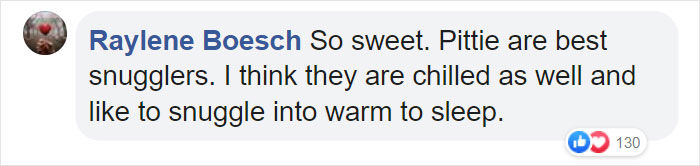 Dog Finds The Fluffiest Dogs In Daycare So She Can Nap On Them