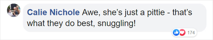 Dog Finds The Fluffiest Dogs In Daycare So She Can Nap On Them