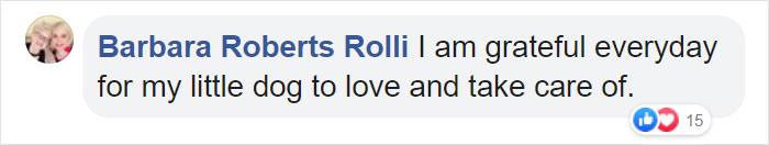 Dog Finds The Fluffiest Dogs In Daycare So She Can Nap On Them