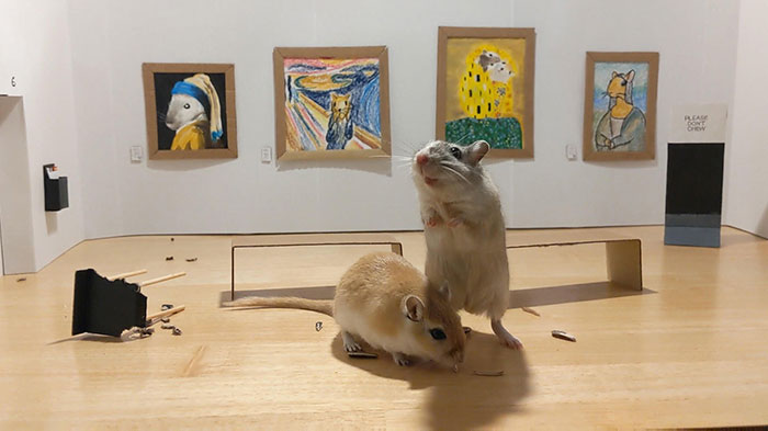Quarantined Couple Creates A Miniature Art Gallery For Their Gerbils With Iconic Paintings Quarantined Couple Creates A Miniature Art Gallery For Their Gerbils With Iconic Paintings