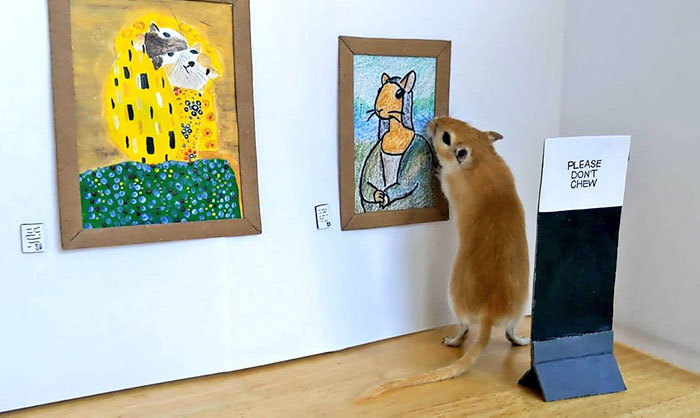 Quarantined Couple Creates A Miniature Art Gallery For Their Gerbils With Iconic Paintings
