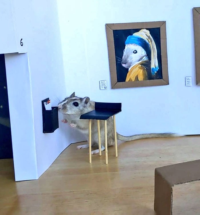 Quarantined Couple Creates A Miniature Art Gallery For Their Gerbils With Iconic Paintings