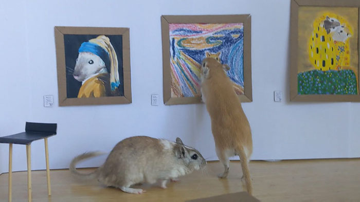 Quarantined Couple Creates A Miniature Art Gallery For Their Gerbils With Iconic Paintings
