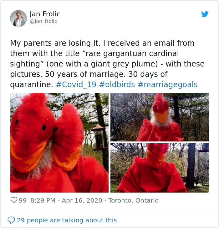 "Rare Gargantuan Cardinal Sighting"