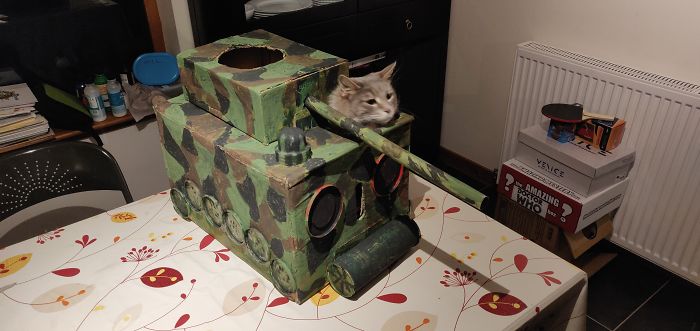 Quarantined-Owners-Build-Cardboard-Cat-Tanks
