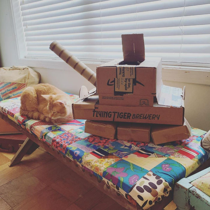 Quarantined-Owners-Build-Cardboard-Cat-Tanks