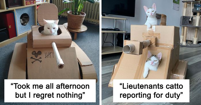 People Are So Bored During Quarantine That They’re Building Cardboard Tanks For Their Cats (30 Pics)
