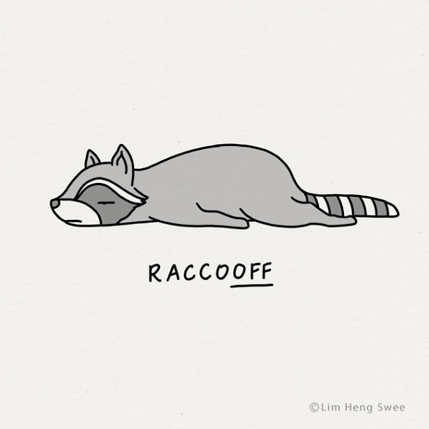 Raccoon