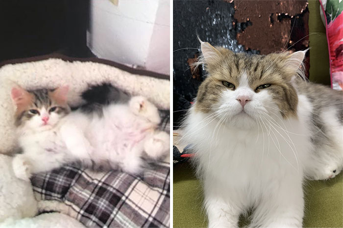 In 2017 And Now In 2020